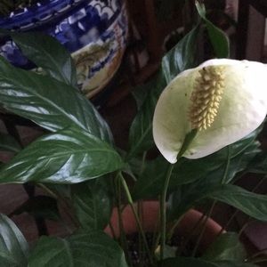 Meet your Posher, Mary beth